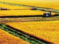 齐齐哈尔农业机械化学校农业机械使用与维护专业介绍