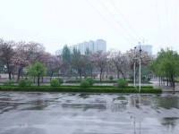 山西交通职业技术学院信息工程系专业介绍