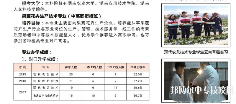 湖南桃花源高级技工学校电子信息专业群介绍