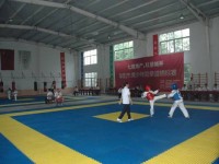 安徽省阜阳体育运动学校自由式摔跤专业介绍