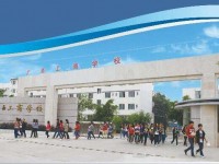 广西工商学校学生实习情况