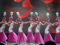 上海市戏剧学院附属舞蹈学校歌舞专业介绍