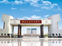濮阳职业技术学院招生计划