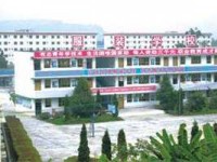 想学淘宝京东的知识吗点开有惊喜