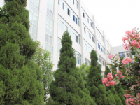 攀枝花华森职业学校2020年招生录取分数线