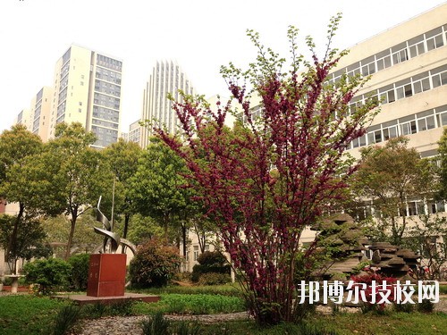 武汉市东西湖职业技术学校地址在哪里 