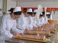 安徽材料工程学校2020年有哪些专业