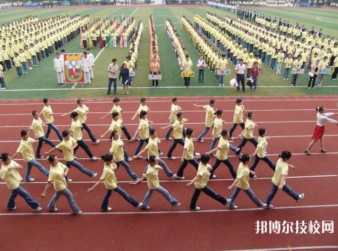 重庆旅游学校2020年有哪些专业