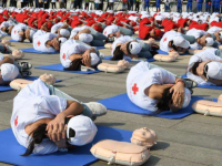 安徽红十字会卫生学校2020年招生录取分数线