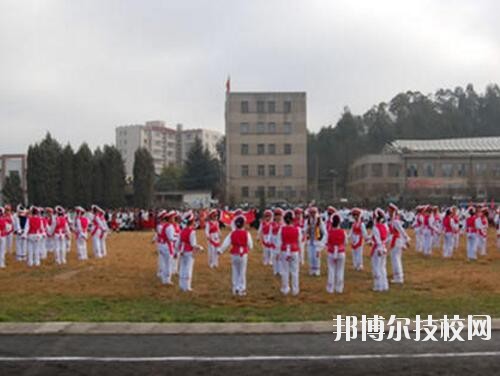 师范网1