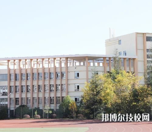 师范网3