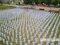 郑州卫生学校2023年有哪些专业
