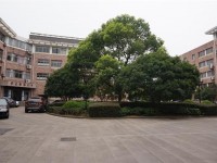 浙江艺术职业学院2023年报名条件、招生要求、招生对象
