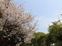 宁波第二技师学院2020年招生录取分数线