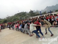 织金中等职业学校网站网址