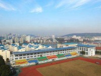 武汉体育运动学校2023年招生录取分数线