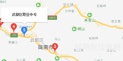 武都职业中等专业学校地址在哪里  