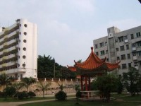 云南冶金高级技工学校2020年招生录取分数线