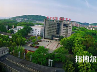 武汉洪山外经贸学校2023年有哪些专业
