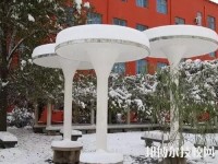 郑州树青医学中等专业学校2023年网站网址