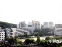 四川省邻水县兴仁职业中学2020年有哪些专业