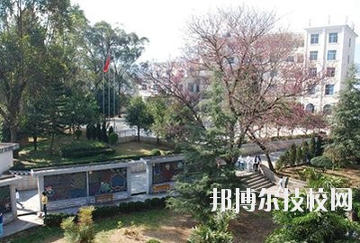 临沧财贸学校网站网址