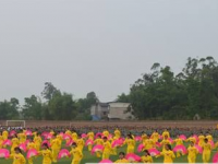 重庆梁平职业教育中心2020年学费、收费多少