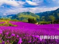 赫章县中等职业学校2023年地址在哪里