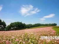 毕节七星关中等职业学校怎么样、好不好