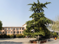 杭州美术职业学校2021年招生计划