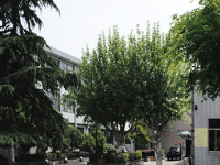 杭州美术职业学校2021年招生录取分数线