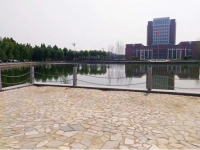 西北工业学校2021年招生录取分数线