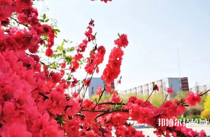 河北女子职业技术学院2021年招生录取分数线