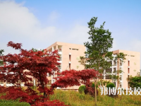 毕节财贸学校2023年招生简章