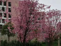 毕节财贸学校2023年有哪些专业