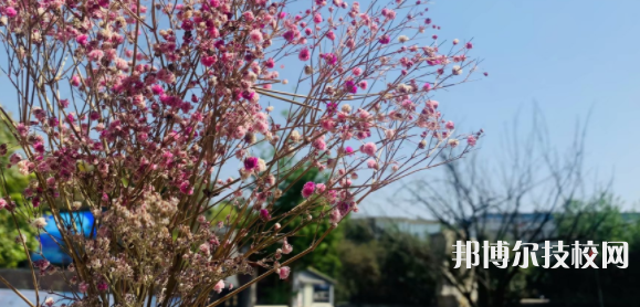 成都华大医药卫生学校地址在哪里