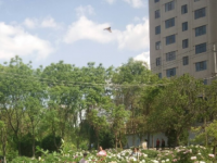 甘肃省武威市凉州区职业中等专业学校网站网址
