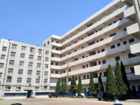 西安艺术学校2021年招生计划