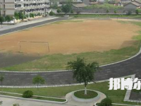南宁卫生学校网站网址