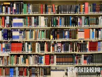 广西华侨学校2023年招生简章