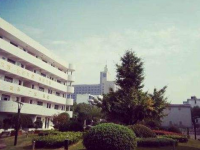 余姚市职业技术学校2021年招生录取分数线