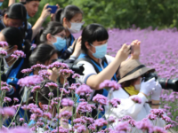乐清市雁荡山旅游学校2023年招生录取分数线