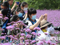 乐清市雁荡山旅游学校2023年招生办联系电话