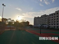 佛山顺德区培教职业技术学校2023年地址在哪里