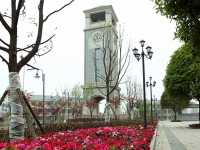 重庆财政学校2023年招生录取分数线