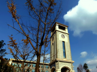 重庆财政学校2023年学费、收费多少