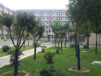 蚌埠商贸学校2023年招生录取分数线