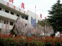 扶风县职业教育中心2023年招生计划