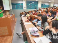 四川长宁职业技术学校2022年有哪些专业