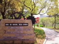 江苏省昆山第一中等专业学校2023年招生录取分数线